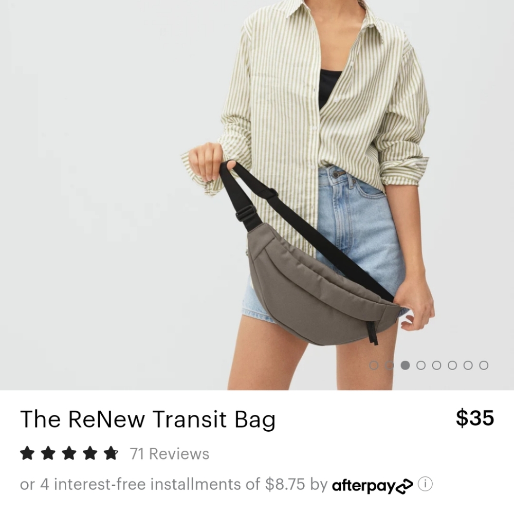 NWOT Everlane Renew Transit bag